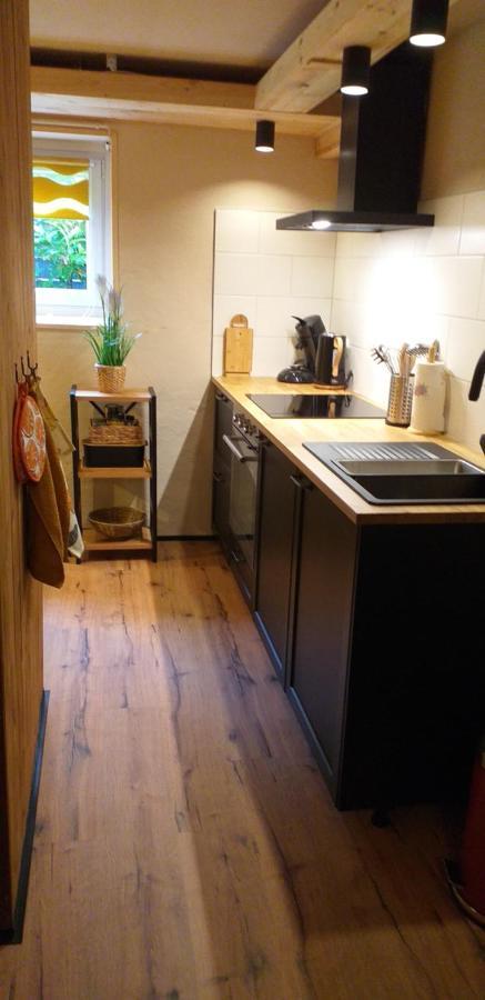 Alter Werkstatt Apartment Junkerath Екстериор снимка